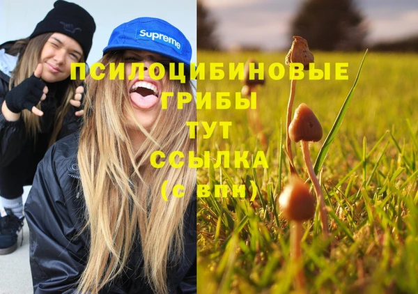 ешки Приозерск