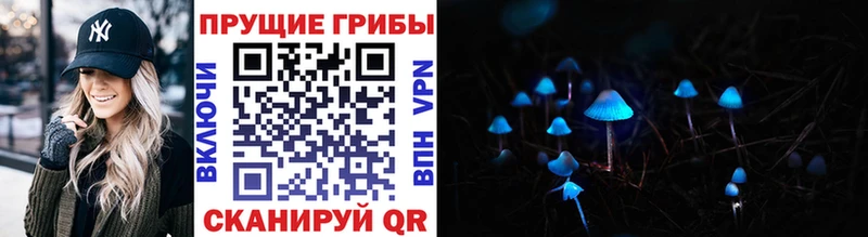 Галлюциногенные грибы прущие грибы  где купить наркоту  Асино 