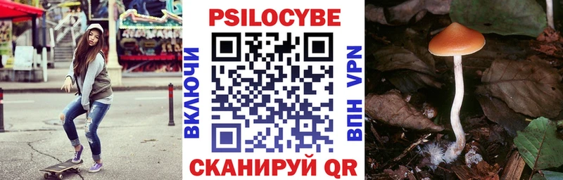 Псилоцибиновые грибы прущие грибы Асино