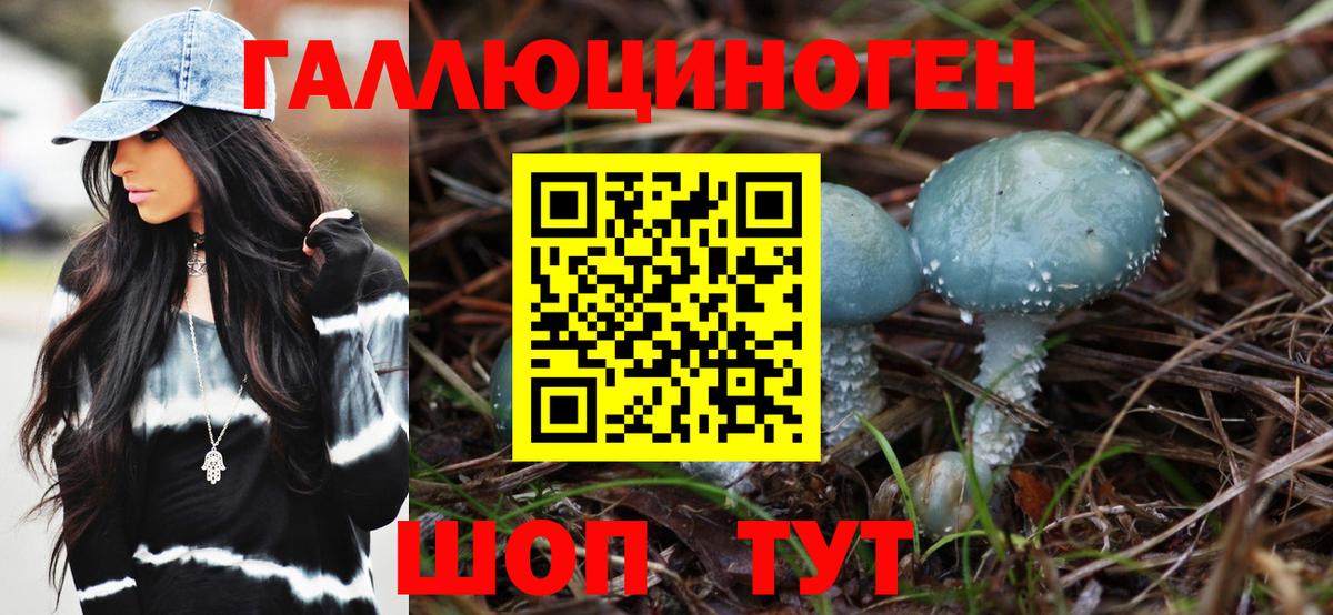 Псилоцибиновые грибы мухоморы  Асино 