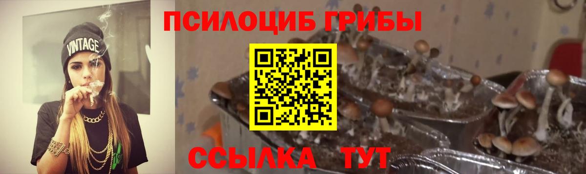 Марихуана  Где купить наркотики?  Cocaine  Меф кристаллы  ГАШ  Асино  Бошки Шишки  Метадон 